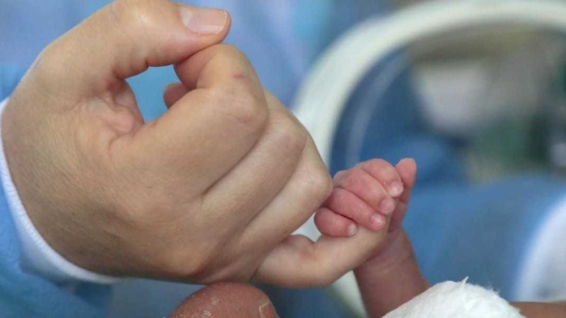 El INDEC publicará hoy el dato de inflación de octubre: qué esperan las consultoras privadas