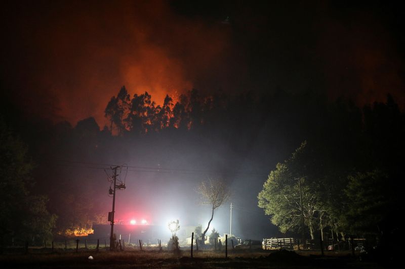 Un incendio forestal quema áreas en Los Venados, San José de la Mariquina, cerca de Valdivia, Chile. 05 de febrero de 2023. REUTERS/Cristobal Saavedra Escobar NO RESALES NO ARCHIVE