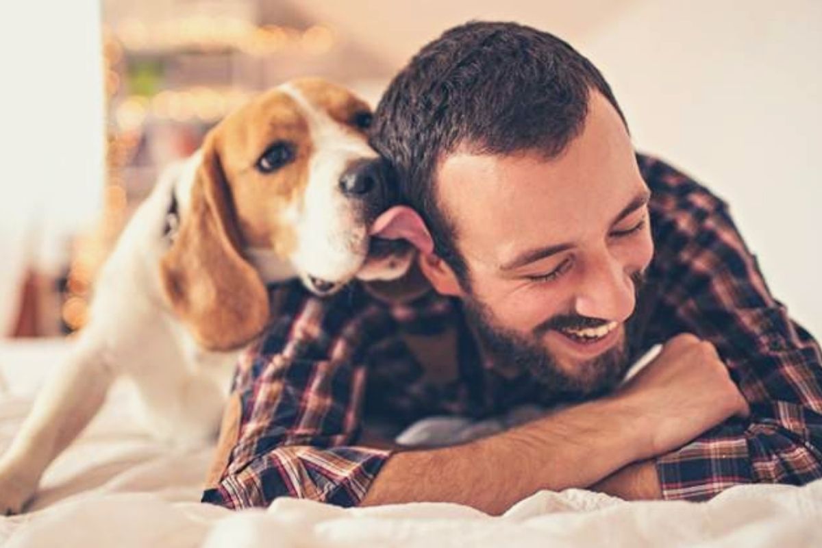Conoce los beneficios de tener una mascota. (Foto:Captura)