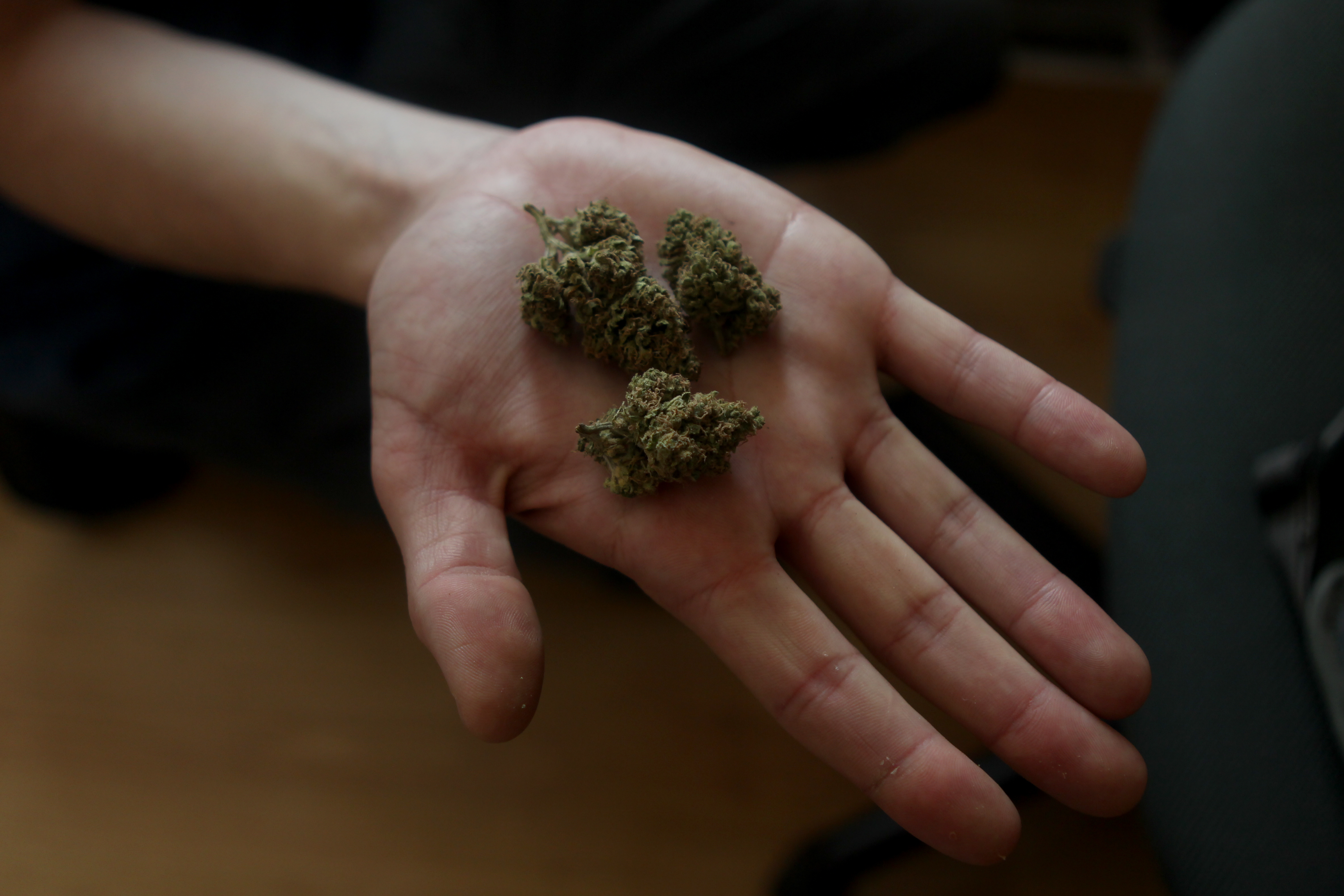 La Corte confirmó la despenalización del cultivo de cannabis para uso medicinal, pero con inscripción previa en un registro oficial