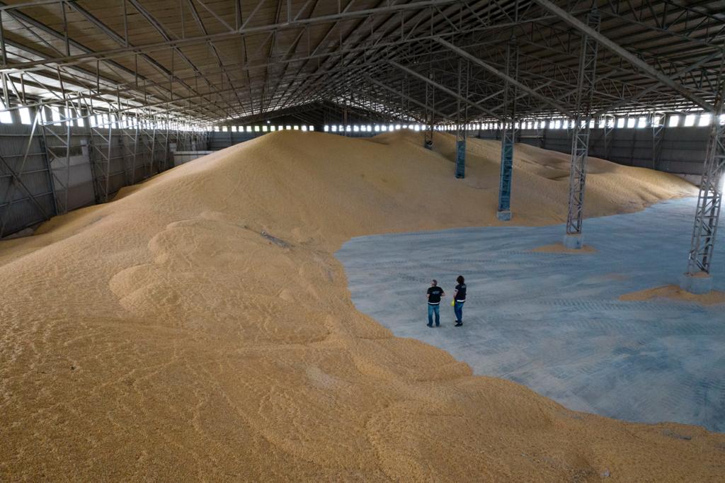 La Aduana decomisó este viernes 4.100 toneladas de maíz que estaban por ser exportadas de manera fraudulenta desde San Pedro