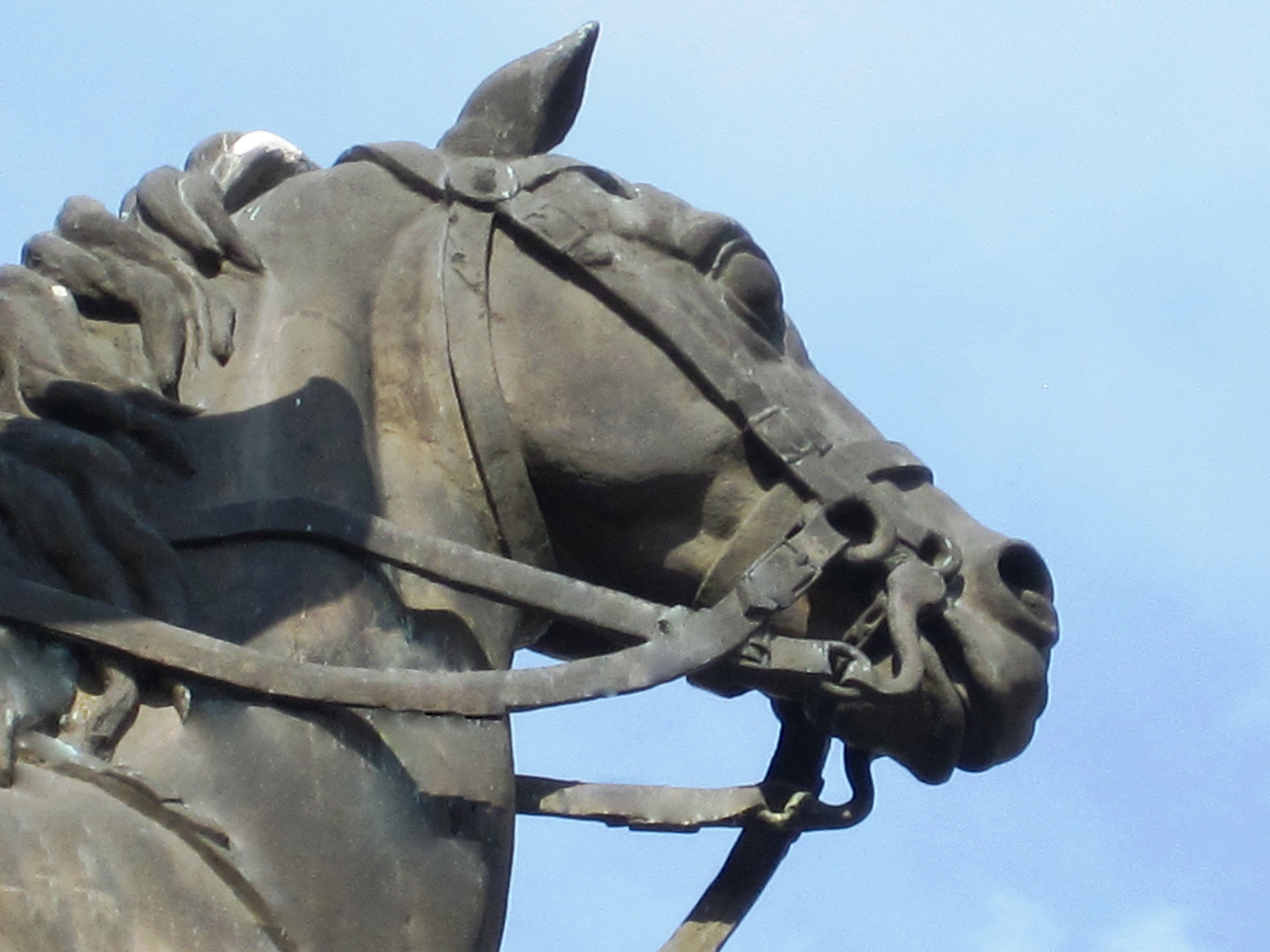Detalle de la cabeza del corcel romano-árabe que monta San Martín; el tipo de caballo usado en nuestras guerras de independencia