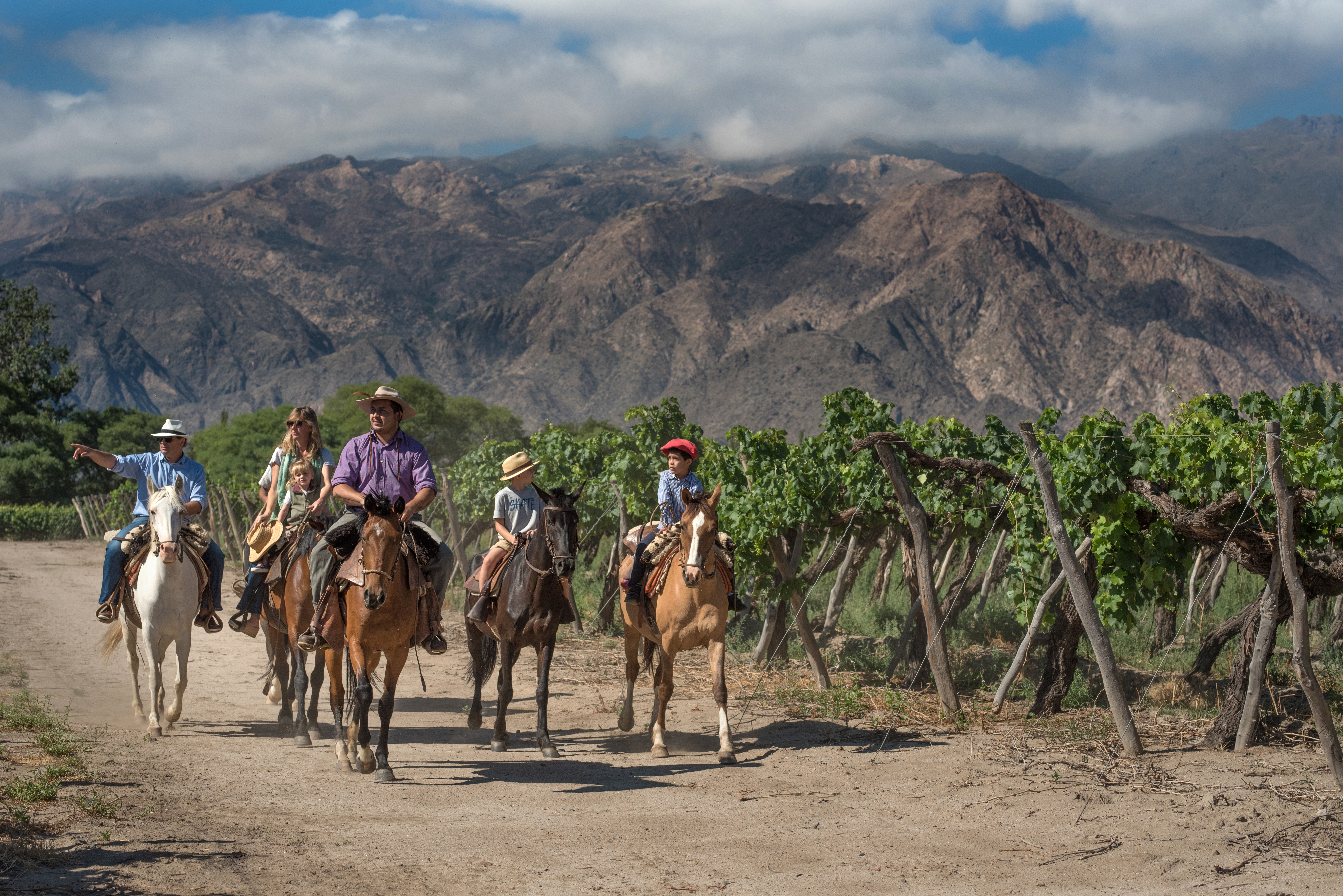 Visitar los viñedos a caballo, una actividad para no perderse en Salta
