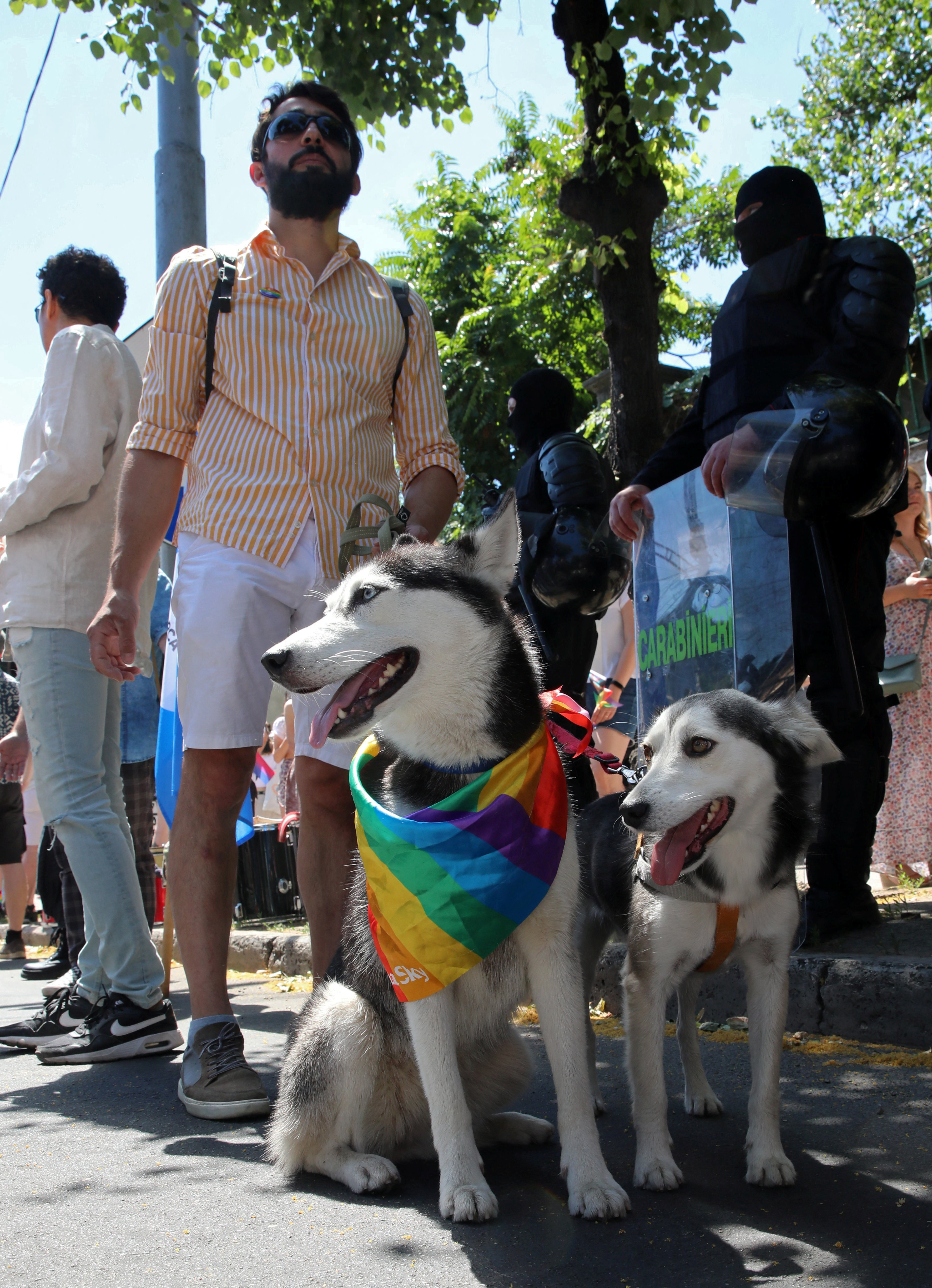 Perro gay”: ovacionan a un en marcha LGBT+ Guadalajara - Infobae