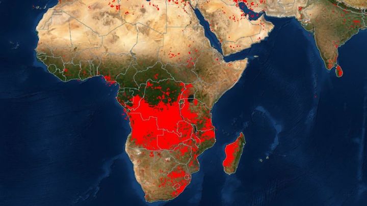 Incendios en países de África. (foto: NASA)