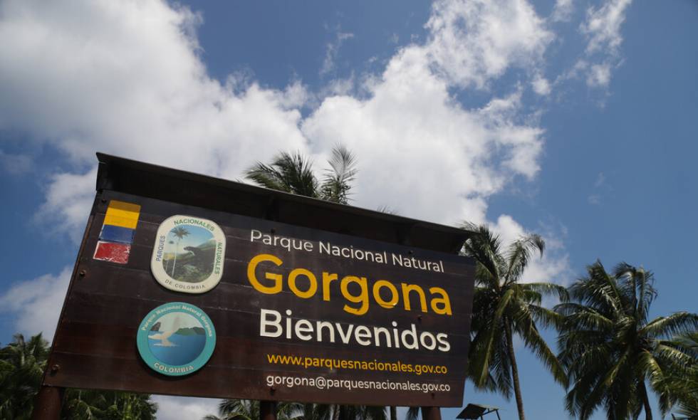 Imagen de archivo de la entrada a la Isla Gorgona, en Colombia. Colprensa