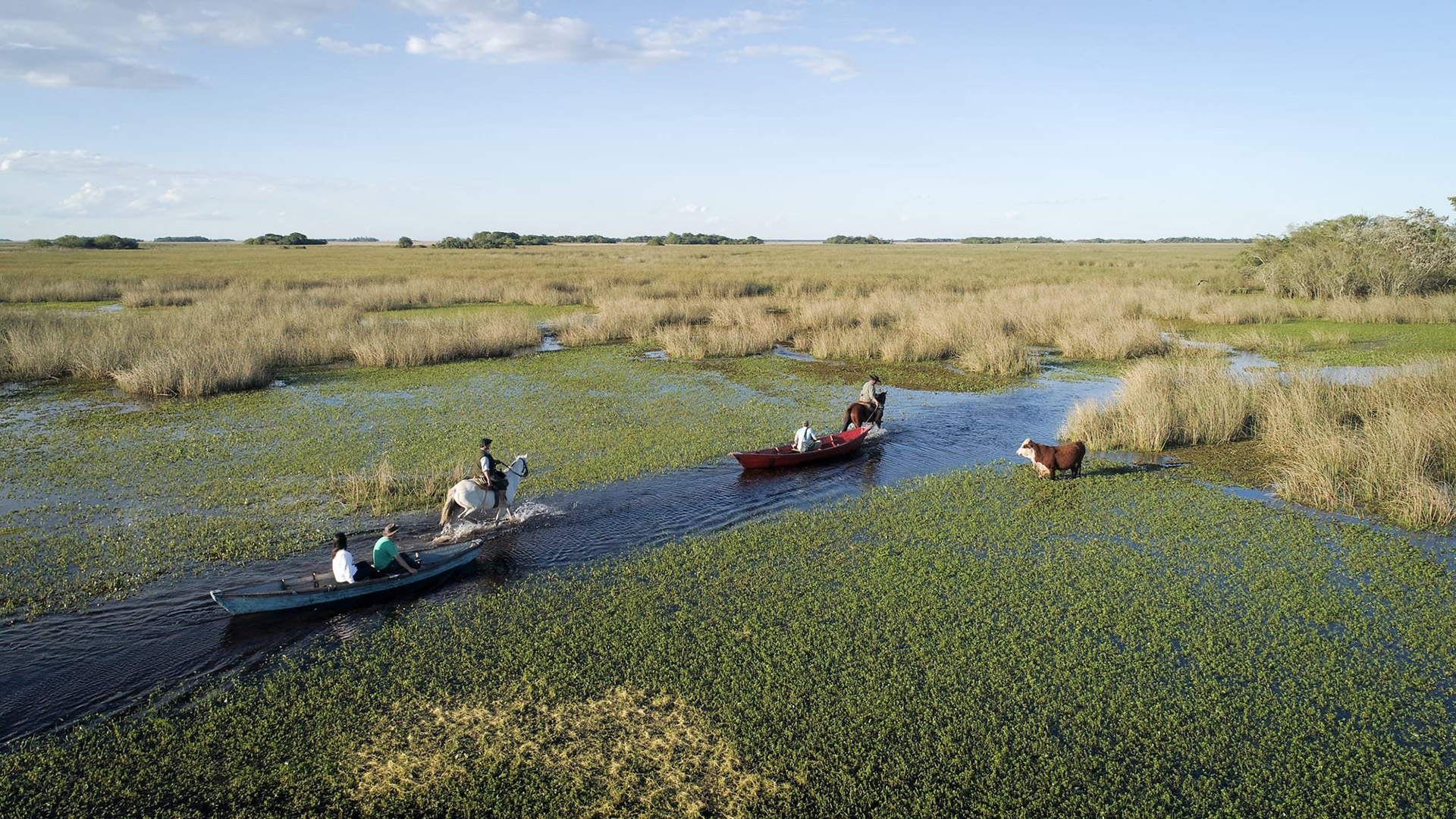 Paseo por los Esteros del Iberá en canoa. (Crédito: Ministerio de Turismo y Deportes de la Nación)