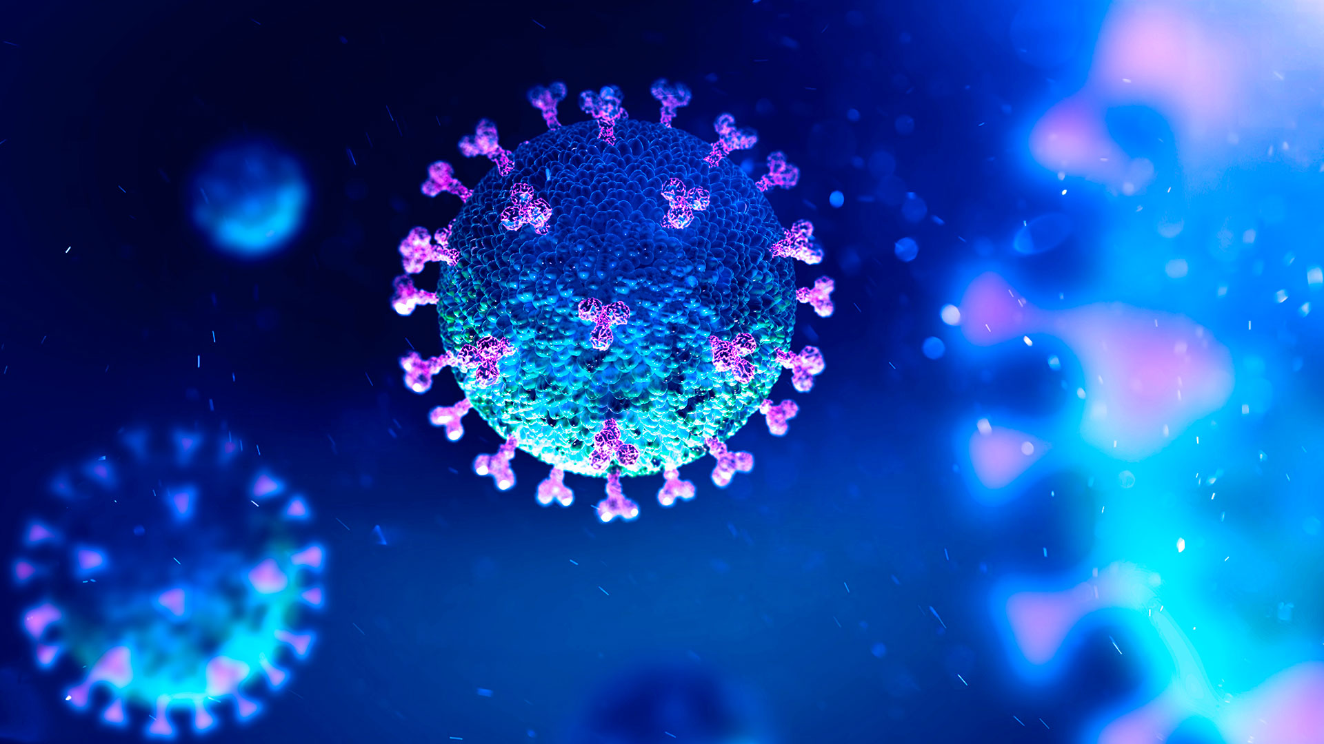 A diferencia de las bacterias, los virus tienen menos componentes proteicos propios a los que se puede atacar con medicamentos (Shutterstock)