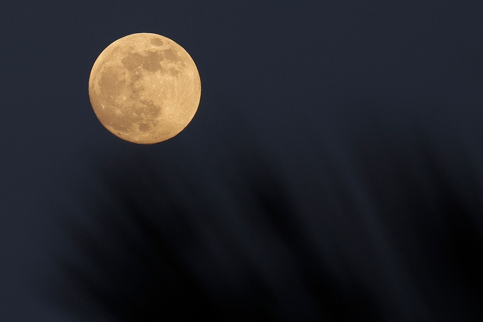 Superluna no es un término astronómico oficial, pero generalmente se usa para describir una Luna llena que se encuentra dentro de al menos el 90 por ciento del perigeo (David GANNON / AFP)