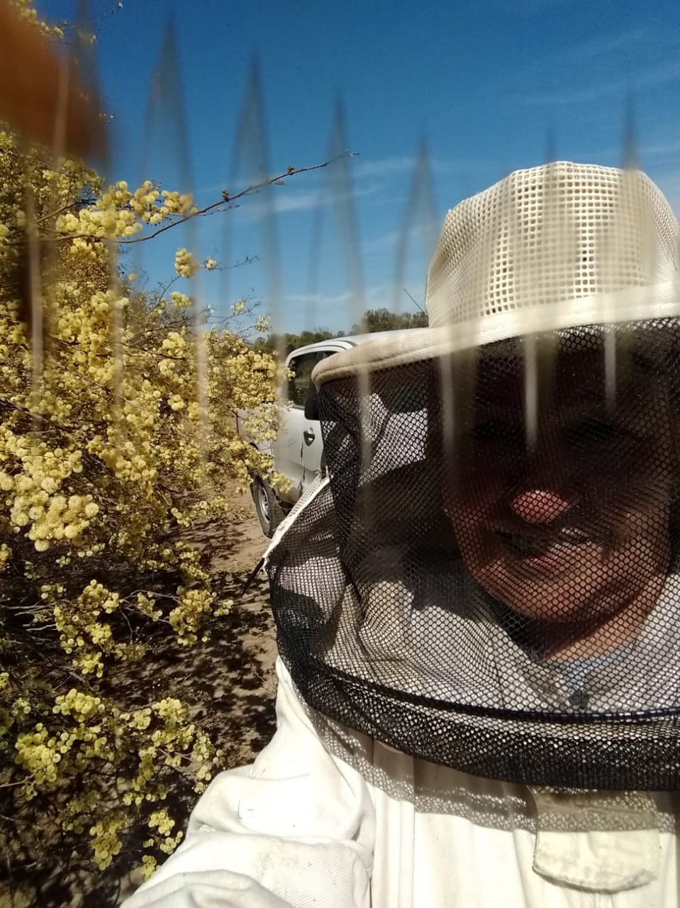 "En esta foto quedó registrado el vuelo en zig zag de la abeja, es de mis preferidas", cuenta la apicultora chaqueña (Foto: Gentileza Alicia Tomaszuck)