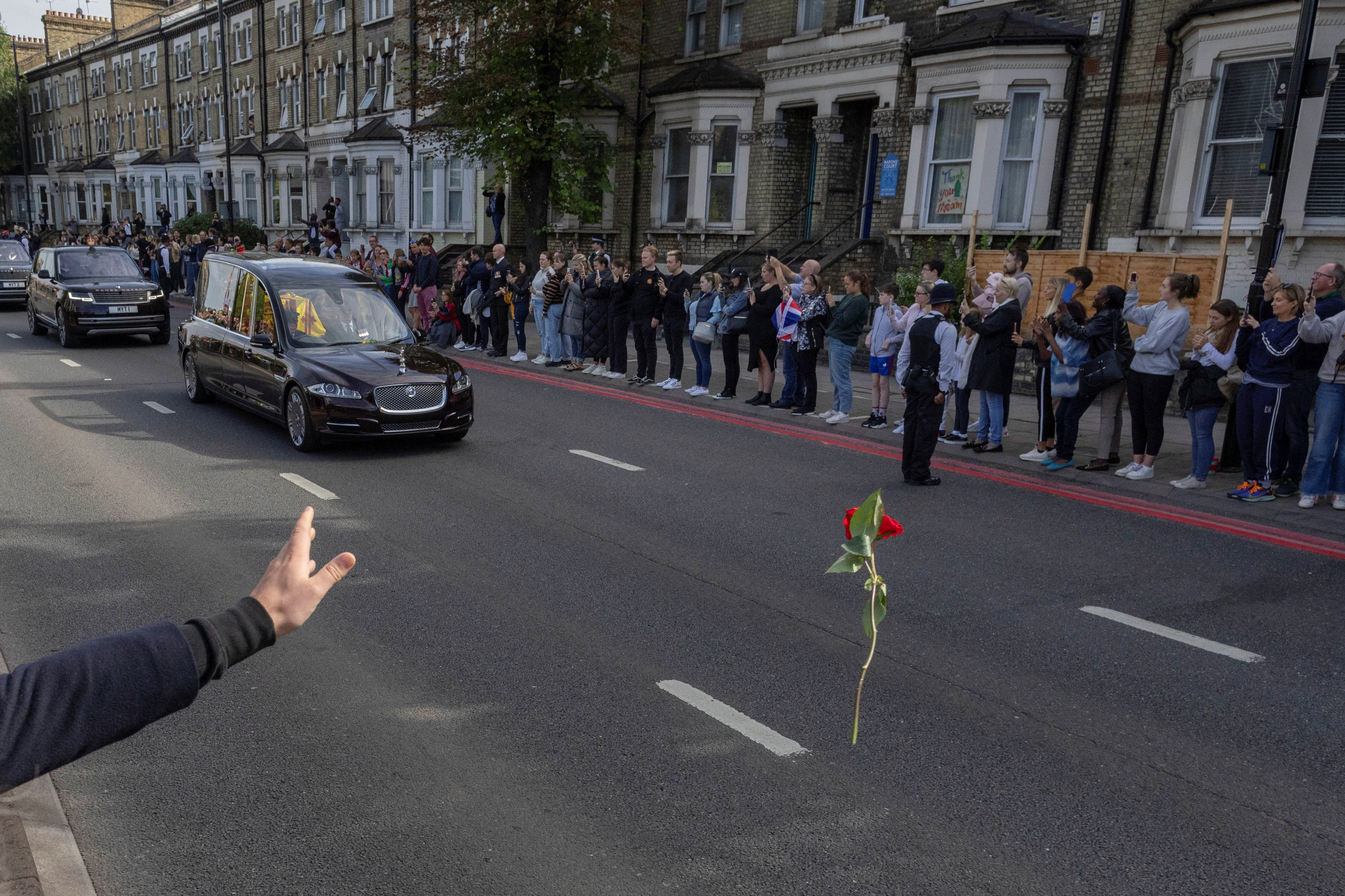 Una persona arroja una flor hacia el ataúd de la reina Isabel de Gran Bretaña, mientras se transporta en un Windsor. 