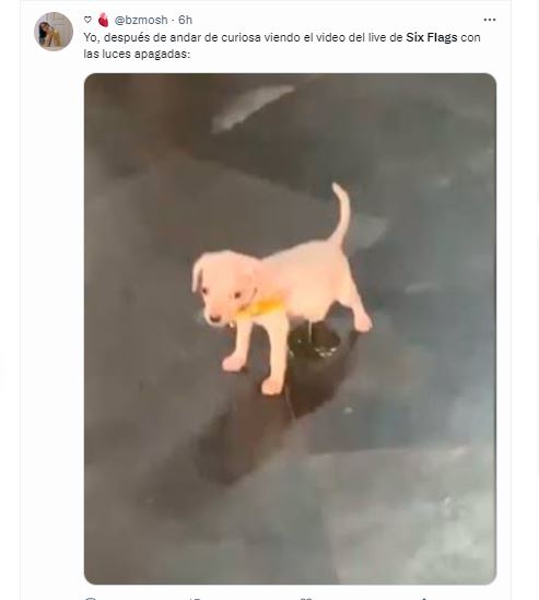 Internautas reaccionaron con memes al misterioso video publicado en las redes sociales del parque de diversiones (Foto: Captura de pantalla Twitter)