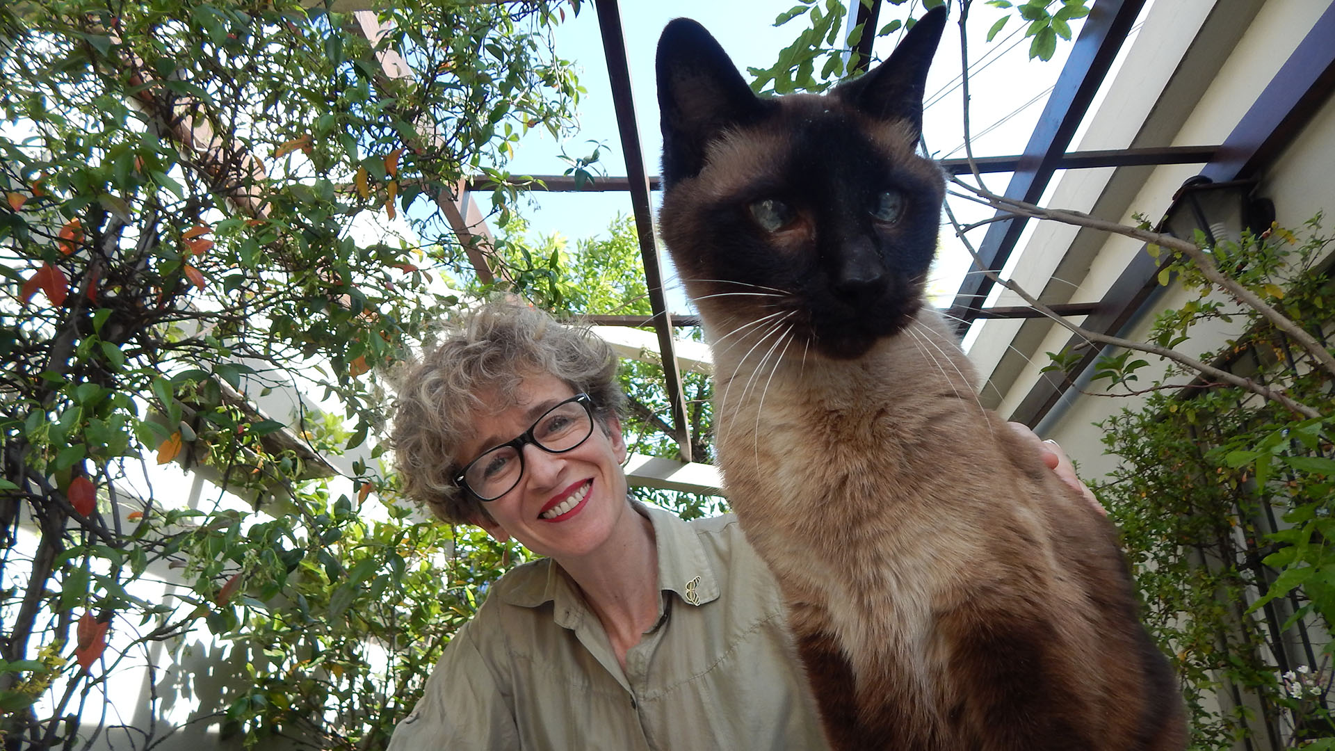 Silvia Hopenhayn, hace unos años con su gato, Mao. Su muerte tuvo un lugar decisivo para el origen de la nueva novela de la escritora y periodista.
