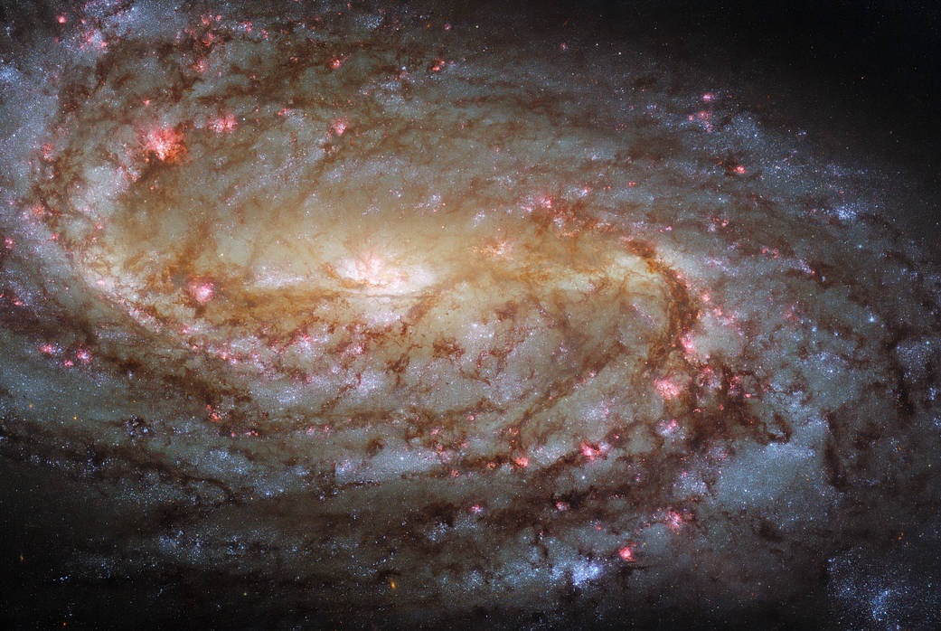 Esta brillante imagen muestra la galaxia espiral NGC 2903
(Foto: ESA/HUBBLE, NASA, AND L. HO, J. LEE)
