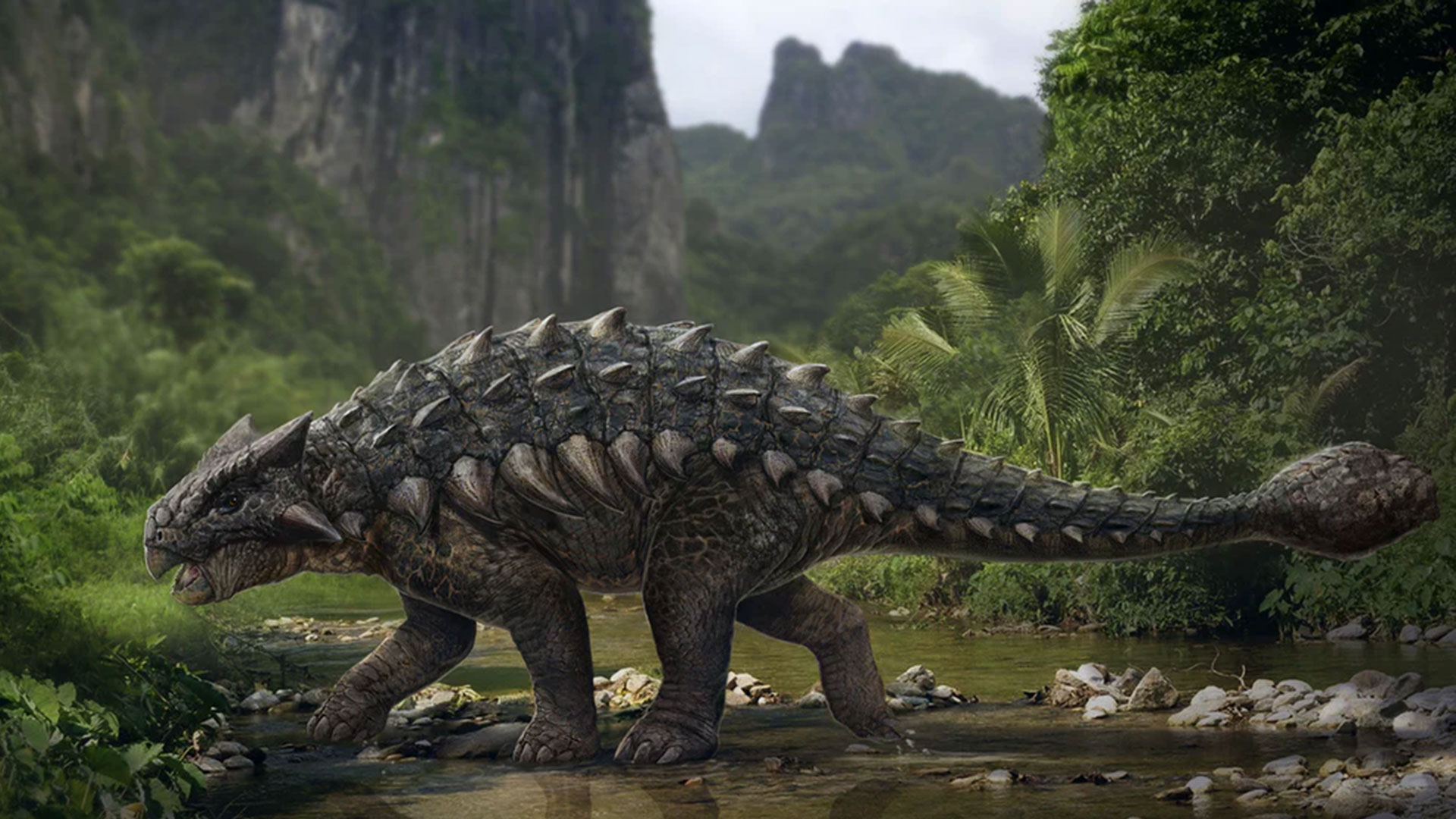 Una nueva explicación para las colas en forma de garrotes de los  Ankylosaurus - Infobae