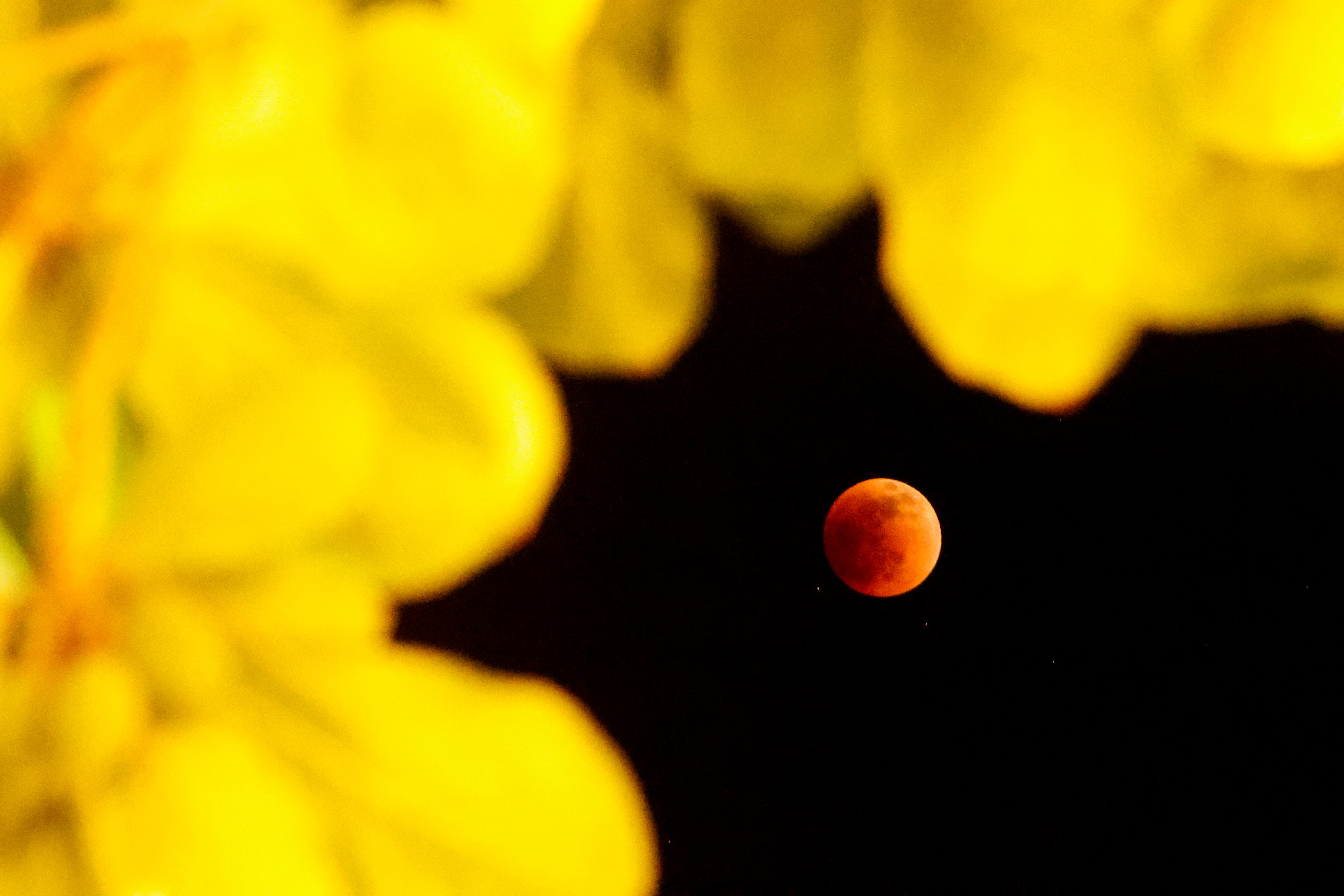 The "Moon of blood" view of Tinum, Mexico (REUTERS/Jose Luis Gonzalez)