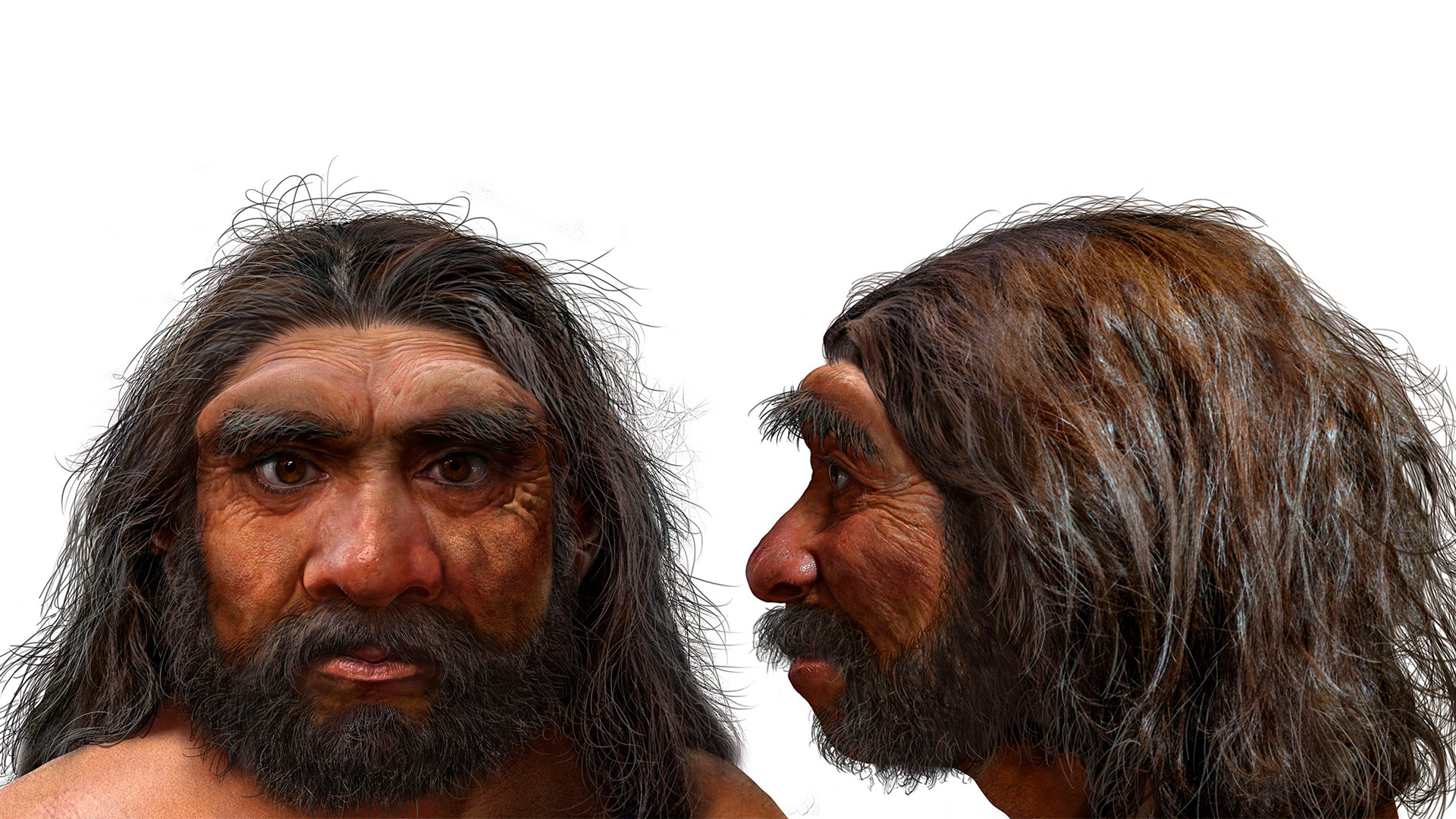 Los Homo longi eran humanos fuertes y robustos y sus posibles interacciones con el Homo sapiens podrían haber moldeado nuestra historia (AFP)
