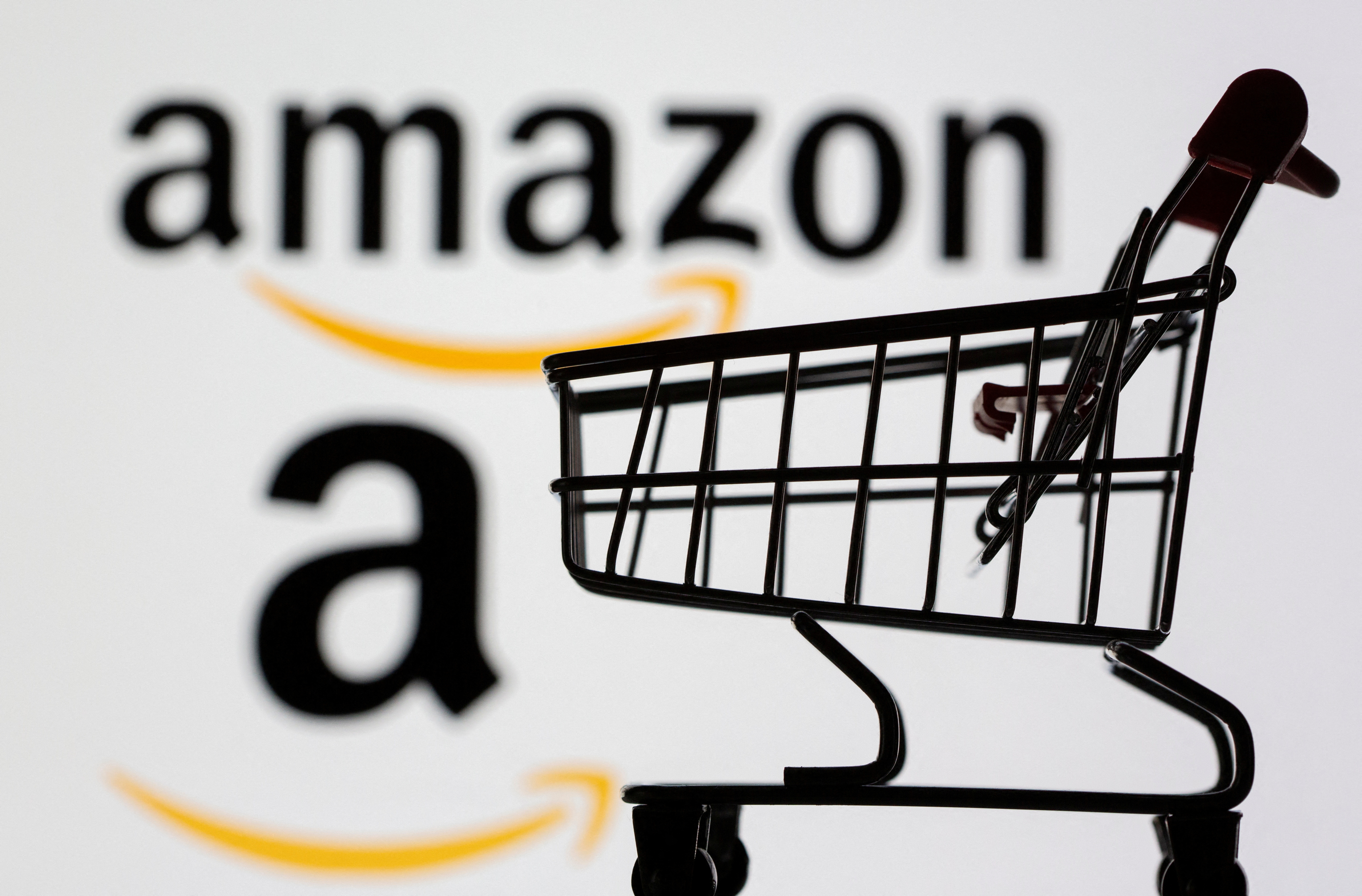 Amazon incluirá la inteligencia artificial en su tienda virtual para comparar productos y realizar sugerencias. (REUTERS/Dado Ruvic)
