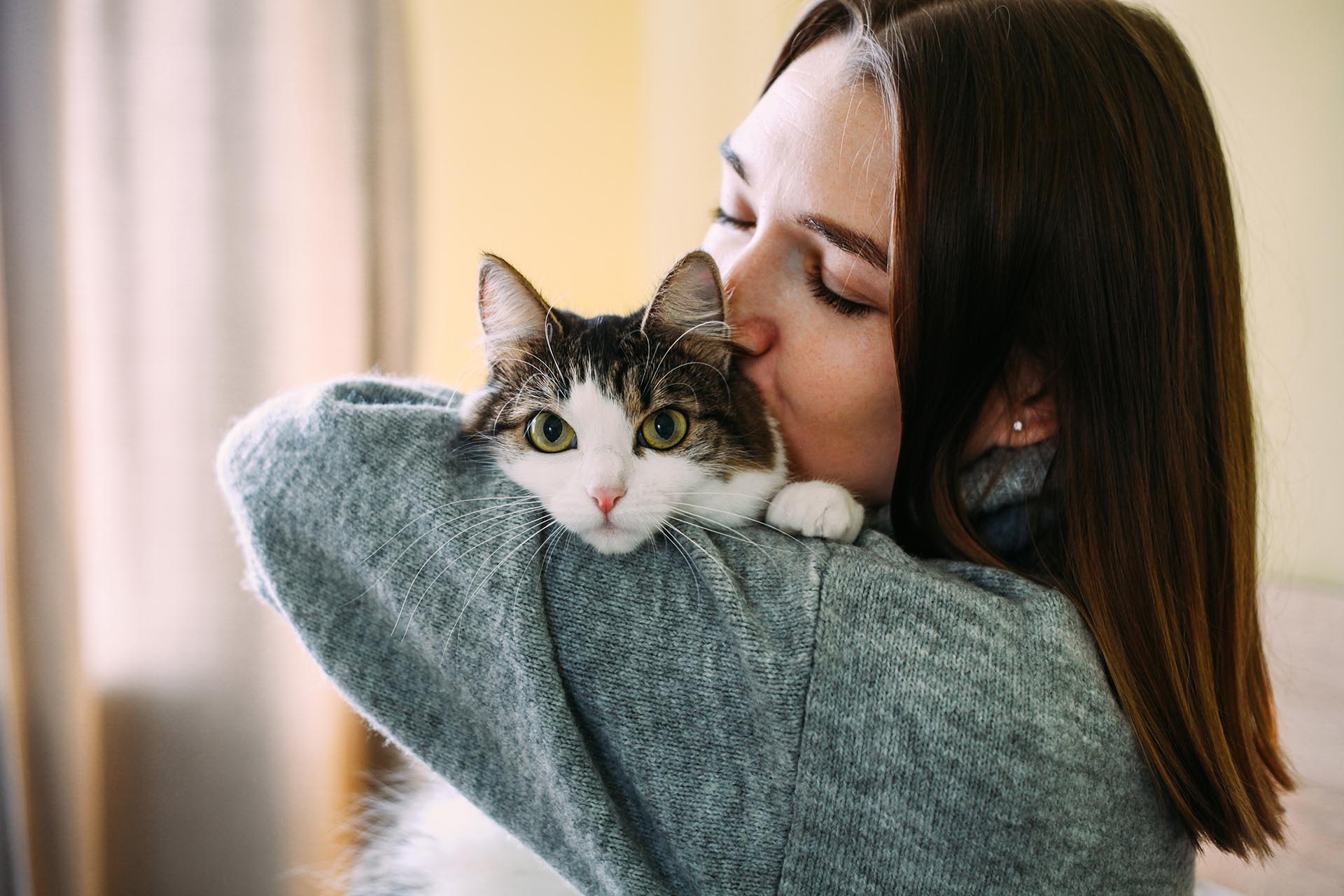 Cuáles son las claves para detectar la tristeza en los gatos