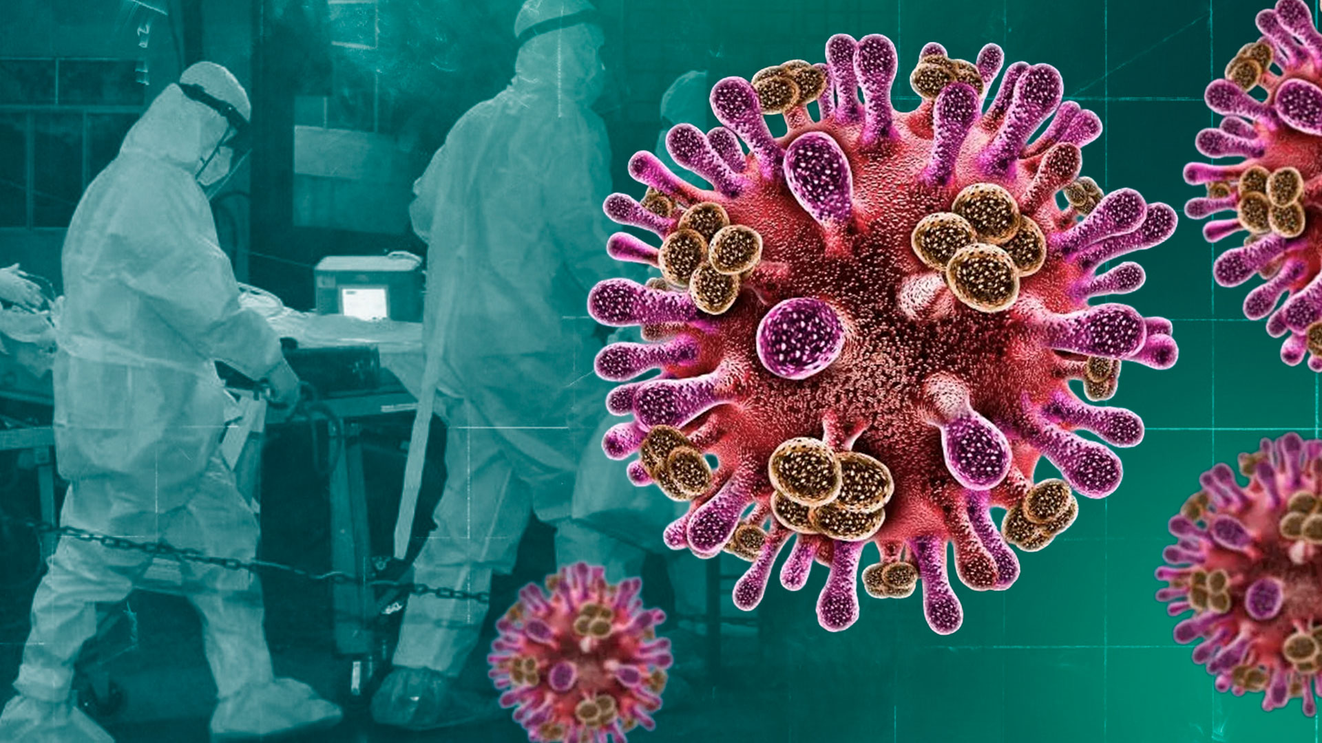 Esto advertía el Gobierno de México sobre el virus Nipah hace cinco años -  Infobae