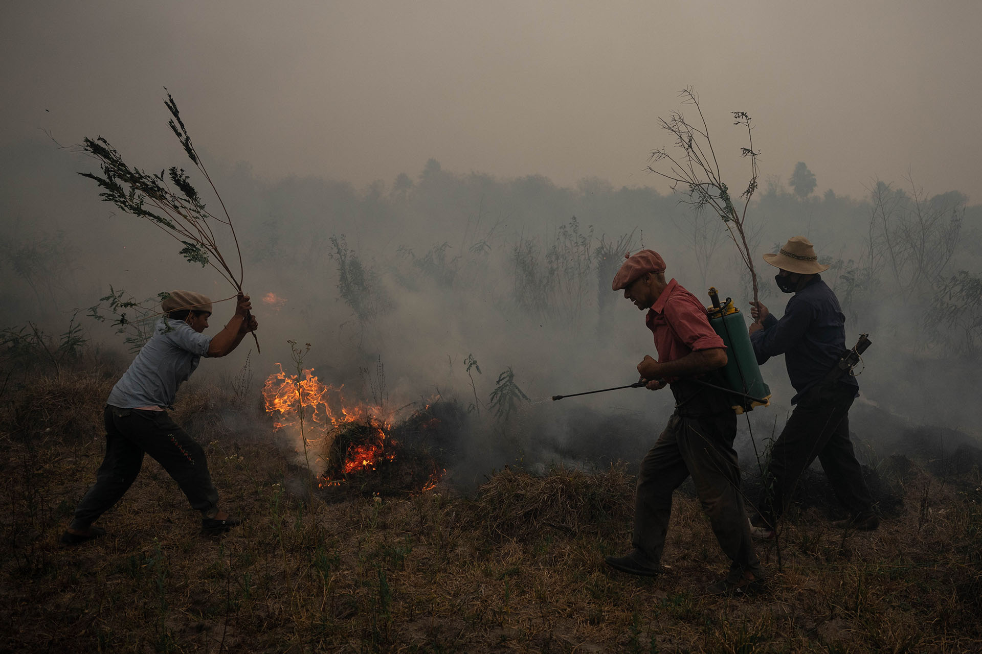 Abrieron más de 70 causas por denuncias de incendios rurales intencionales en Corrientes (Franco Fafasuli)