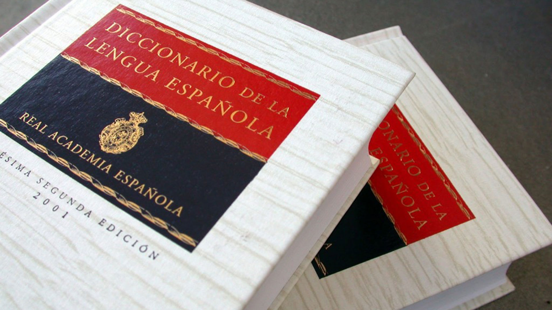 El Diccionario de la Lengua Española de la Real Academia 
(Foto: Archivo Infobae)