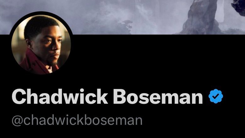 La cuenta de Twitter del fallecido actor Chadwick Boseman fue verificada con Twitter Blue. (Captura)