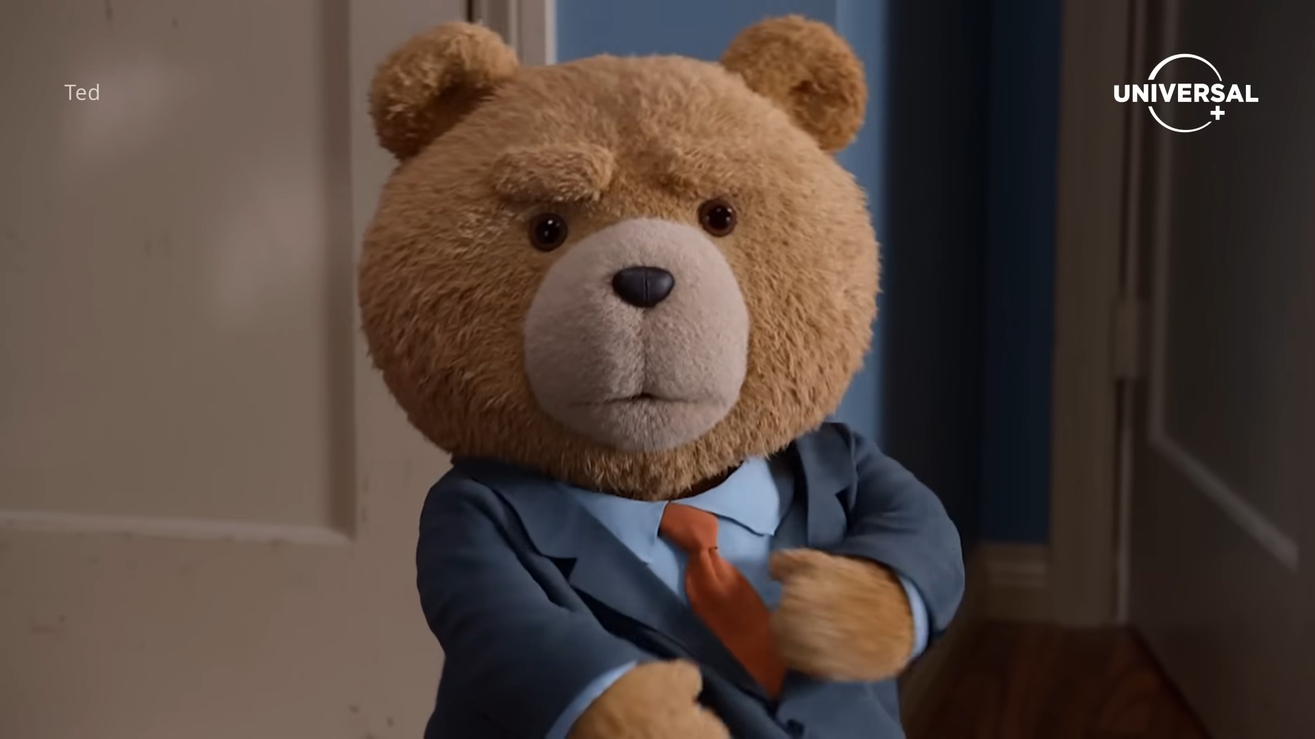 Osito ted fumando online