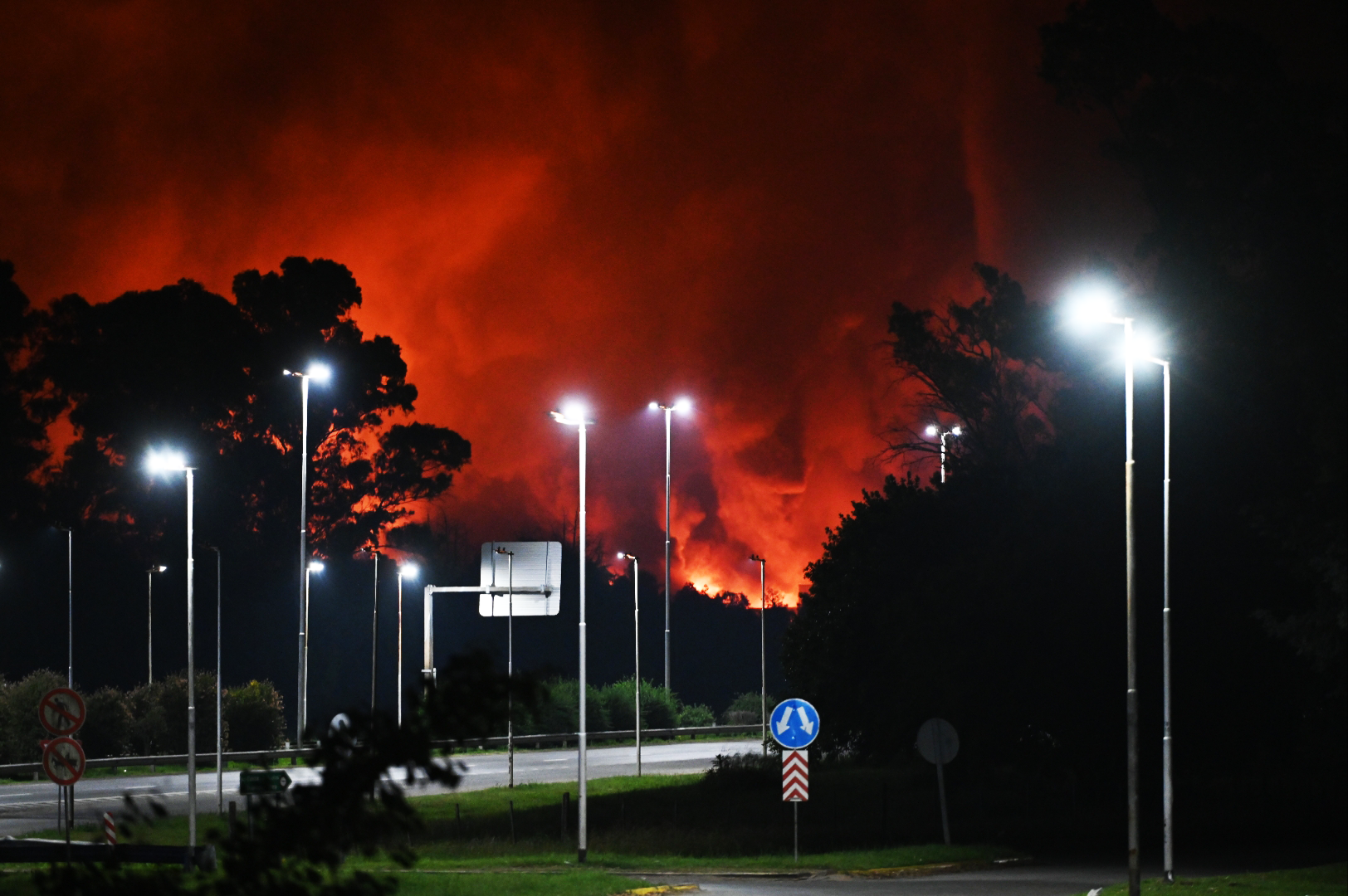 Javier Milei: “Argentina ya está en condiciones de tener acceso al mercado de capitales”