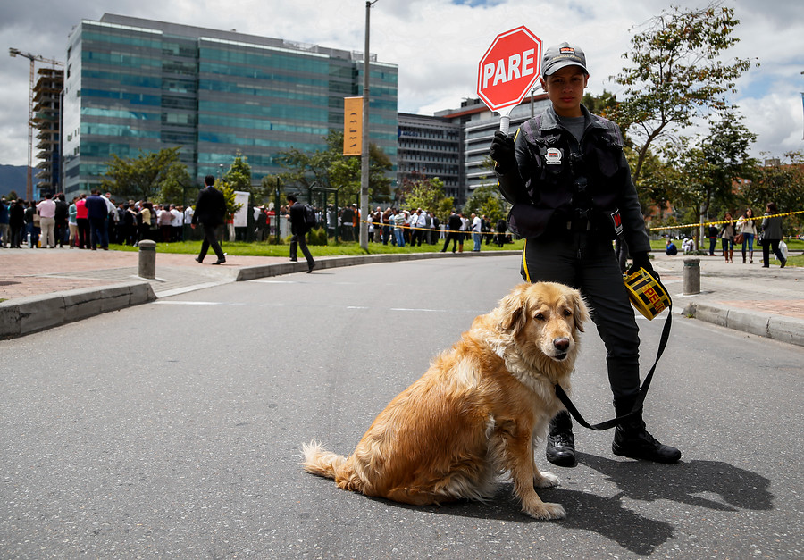 Perro de seguridad en Colombia. (Colprensa – Mauricio Alvarado)