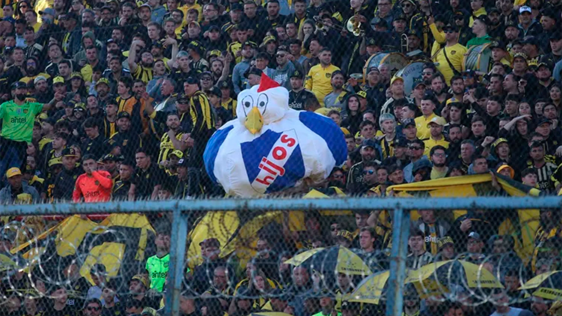 Un hincha trajo un pollo con el escudo nacional lleno de globos