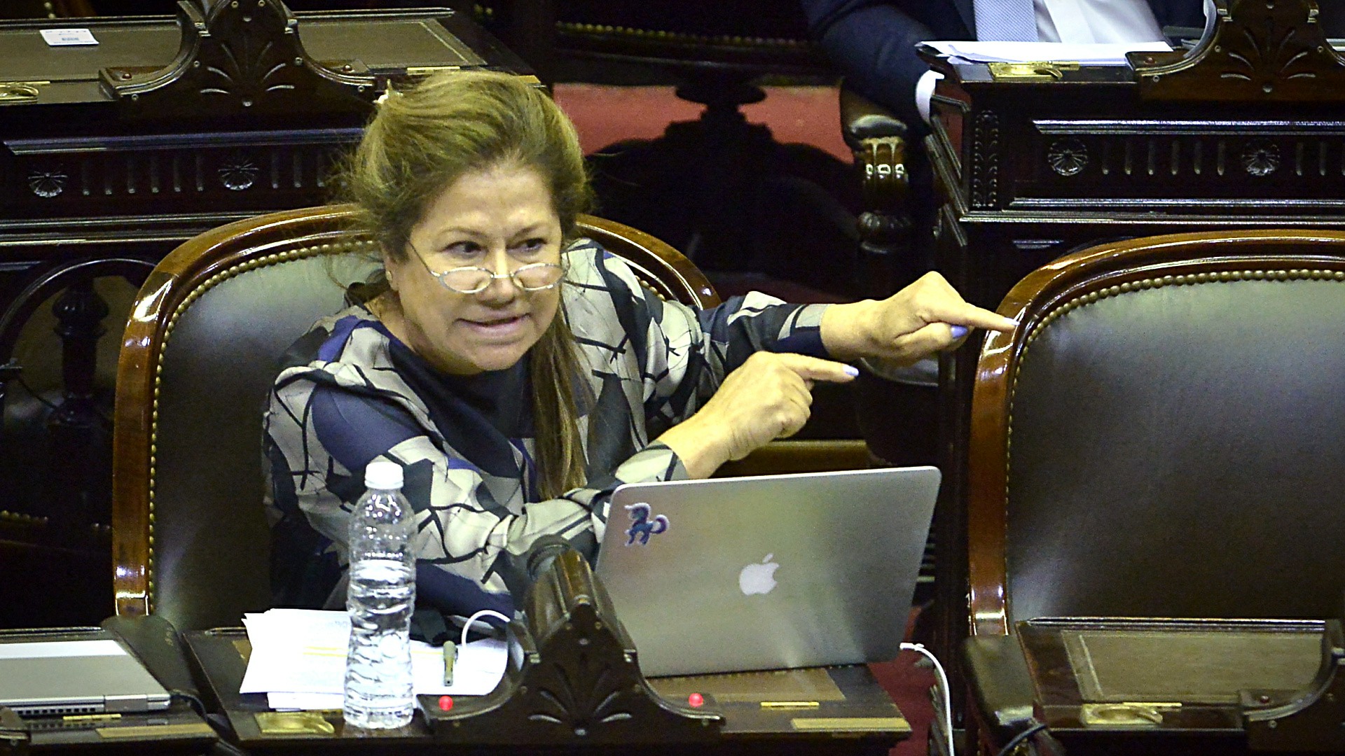 Una de las figuras que dejará la Cámara de Diputados (Gustavo Gavotti)