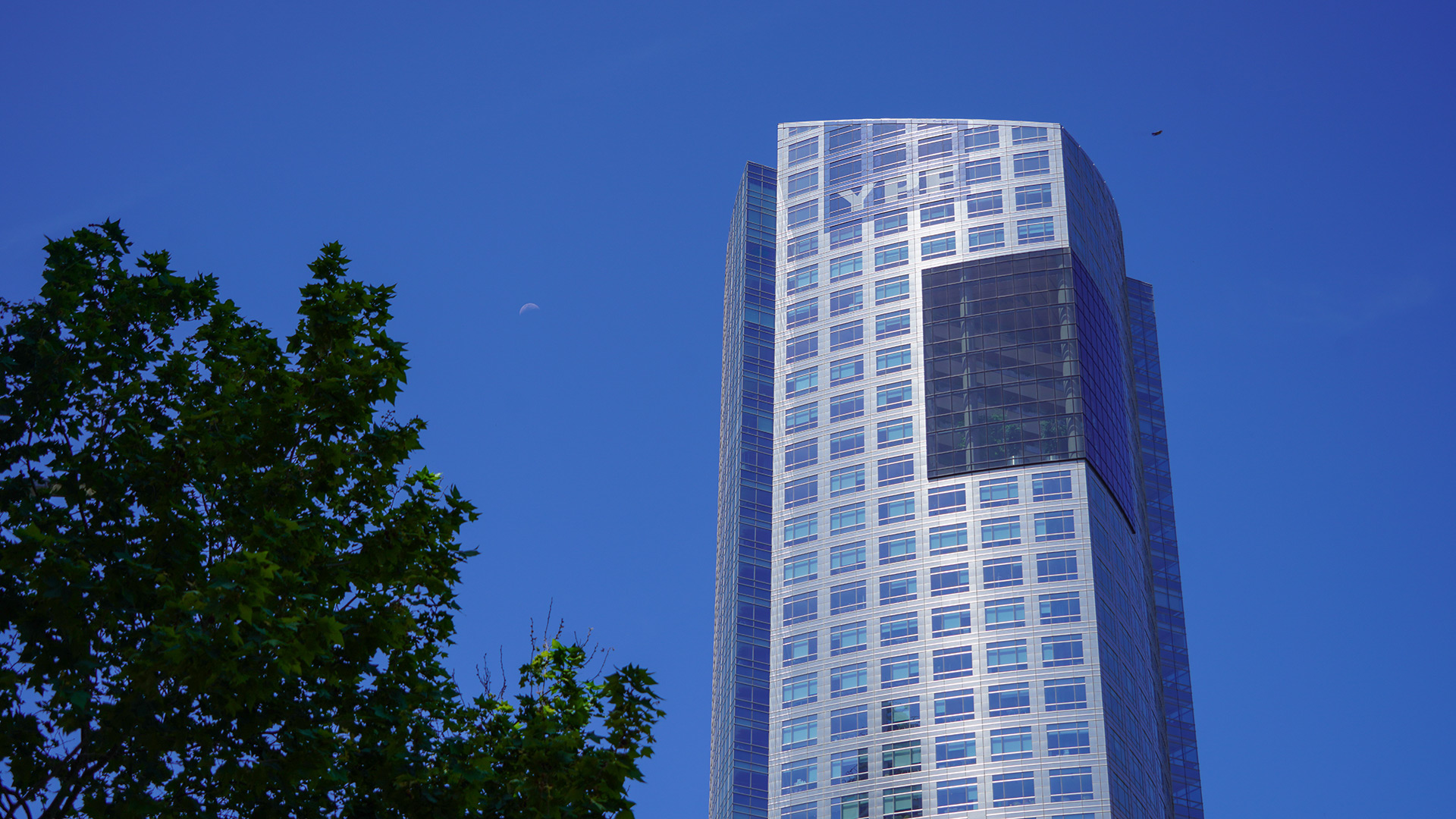 Cinco medidas que tomó Uruguay tras la devolución de contenedores de carne enviado a China por residuos veterinarios