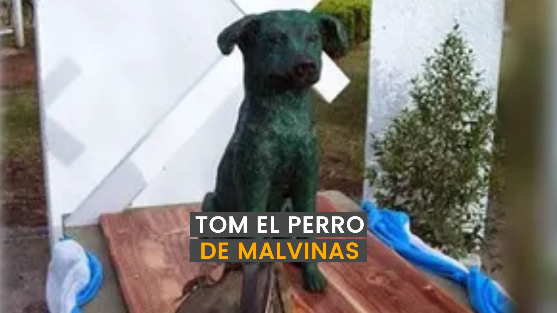La historia heroica de Tom, el perro de Malvinas