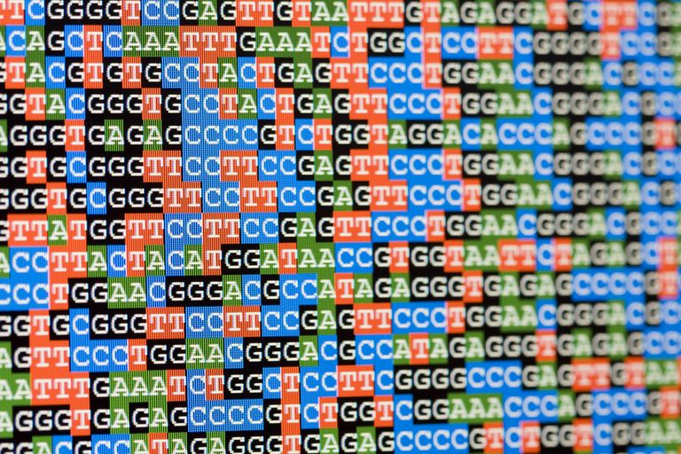 El ser humano cuenta hoy con su mapa genético completo gracias al avance de la ciencia (Getty)