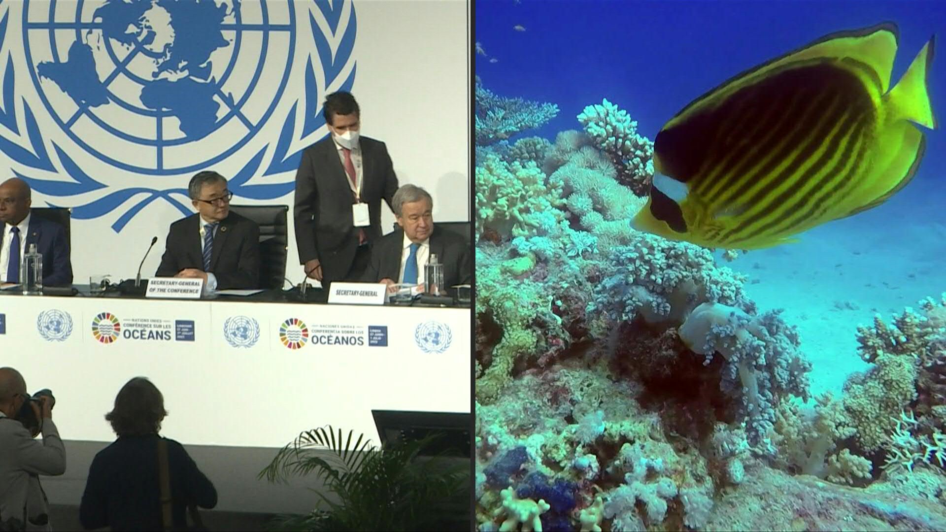 El mundo enfrenta una "emergencia" en los océanos que amenaza a la naturaleza y a la humanidad, dijo el lunes el secretario general de la ONU Antonio Guterres al inicio de una importante conferencia de la organización sobre en Lisboa 