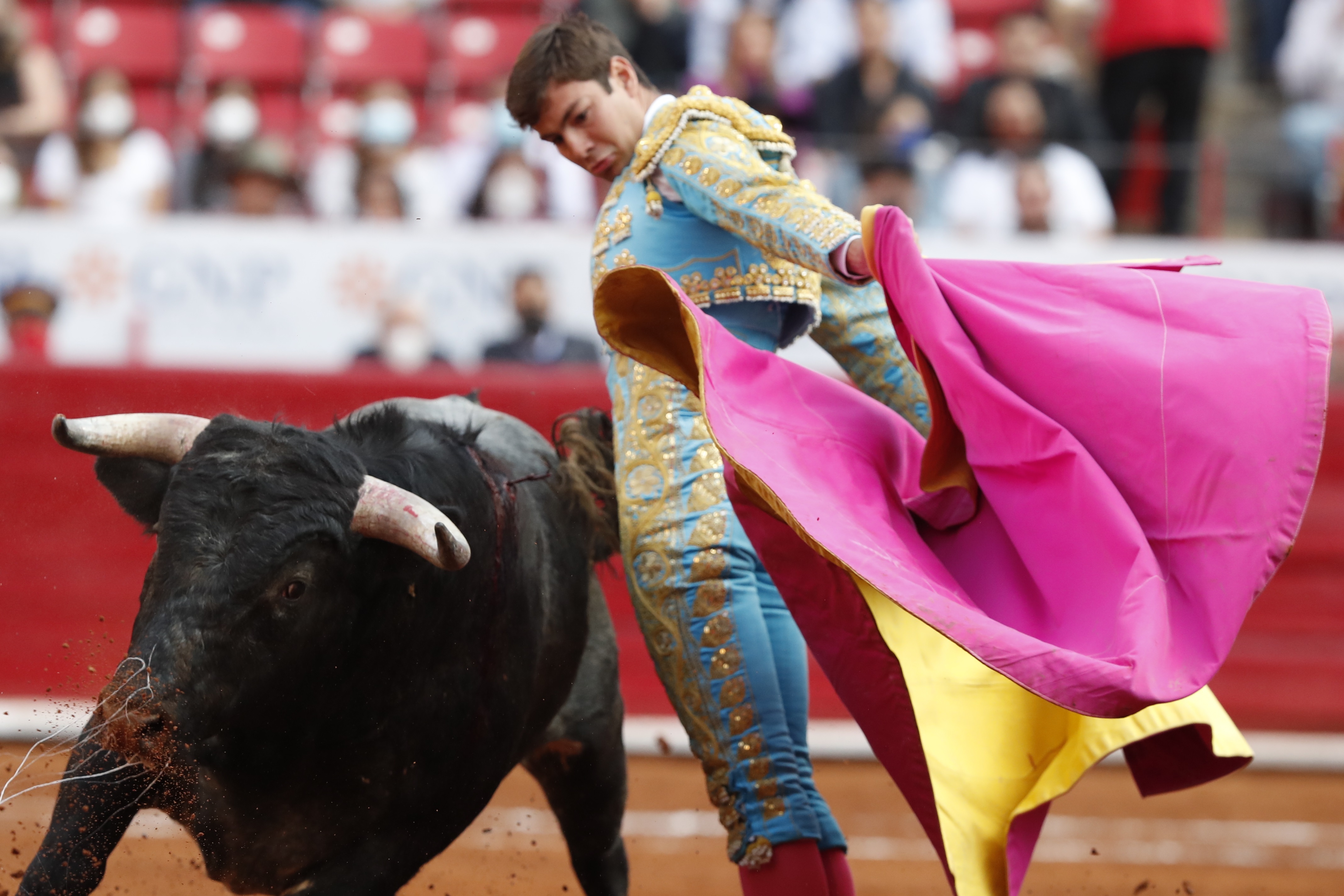 Juez en CDMX prohibió las corridas de toros en la Plaza México provisionalmente