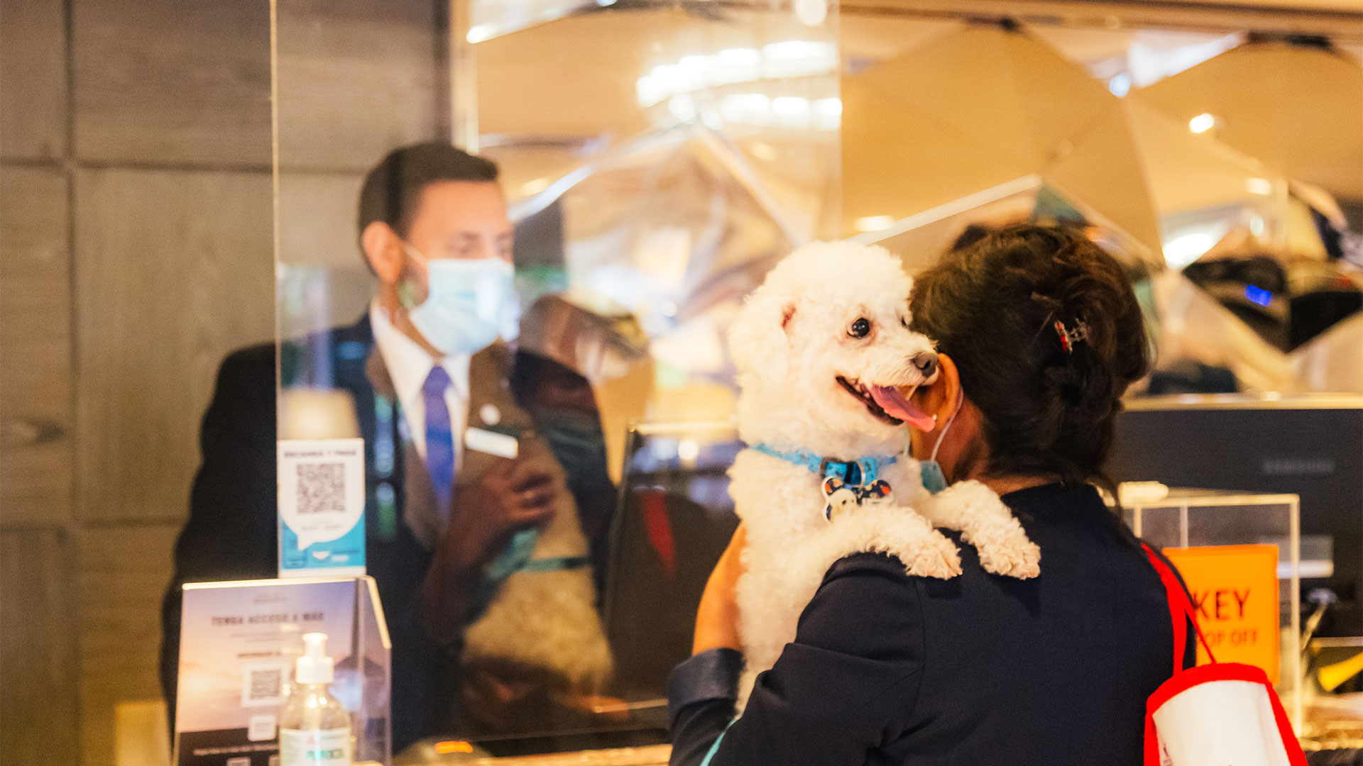 El Sheraton Buenos Aires este año presentó su programa Pet Friendly