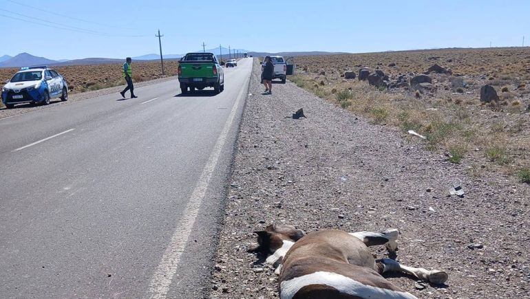 ¿Qué pasará con la inflación?: cuándo perforará el 2% mensual, según los principales analistas de mercado