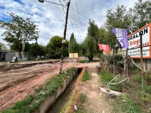 La peculiar frase con la que el técnico del Tottenham justificó el cambio del arquero Antonín Kinsk� en la derrota ante el Atlético