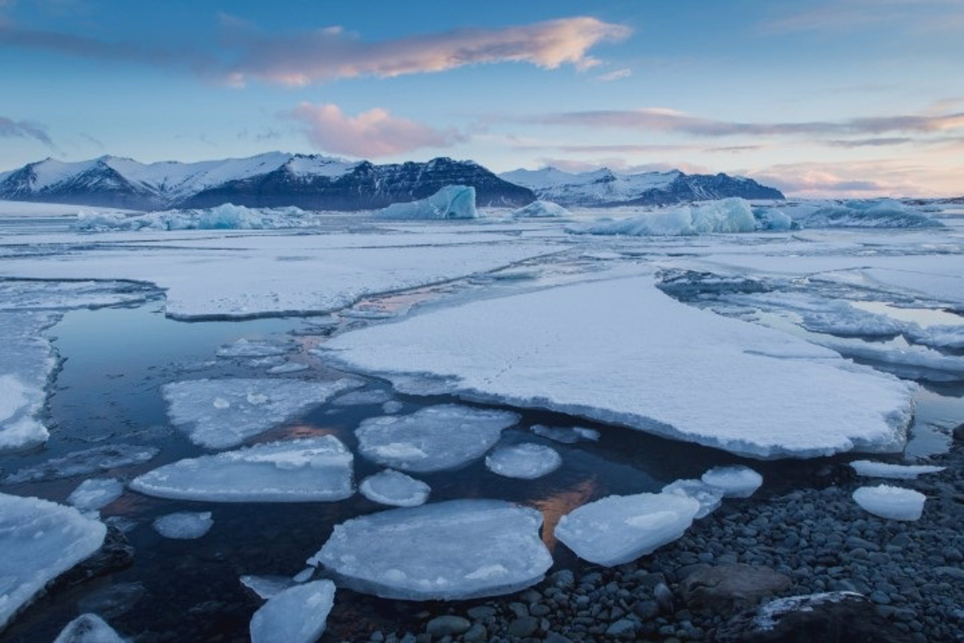 Javier Milei encabezó la entrega del sable corvo de San Martín a los Granaderos: “Nos recuerda que la libertad es inclaudicable”