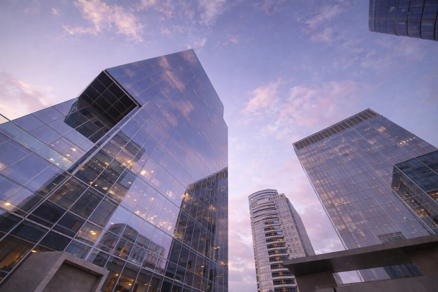 Hace 56 millones de años, un aumento abrupto de dióxido de carbono arrasó bosques y elevó la temperatura terrestre