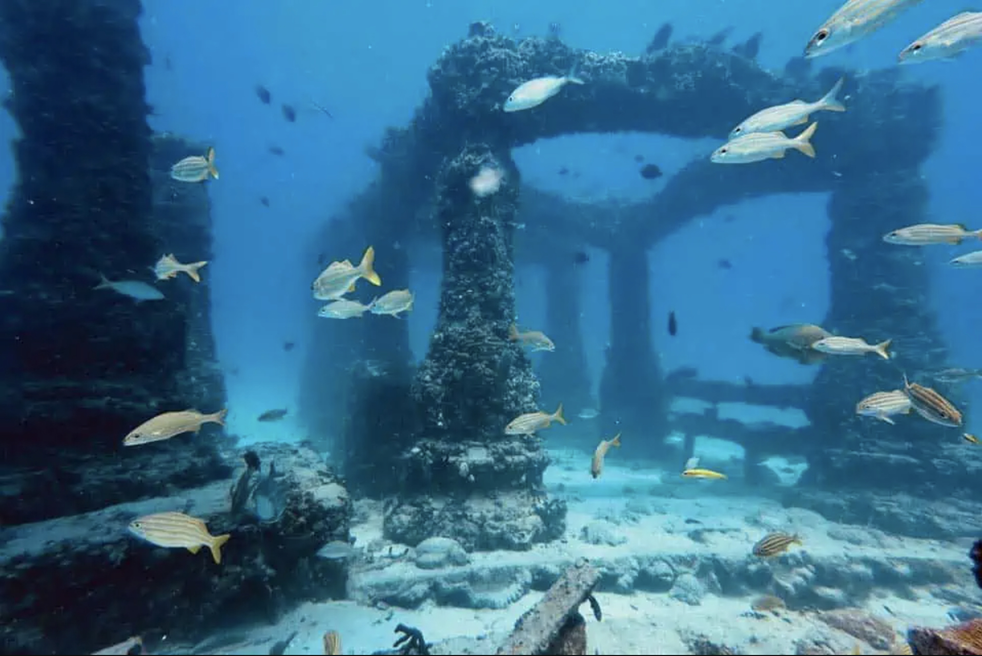 A menudo eclipsada por los Cayos de Florida, justo al sur, la capital cultural y de fiestas de Florida ofrece algunos de los mejores lugares para bucear en toda la costa este alrededor del Parque Nacional Biscayne. (Neptune Memorial Reef)