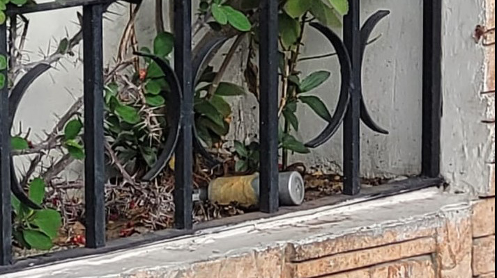 Encontraron una granada de gas en un cantero de Villa Devoto
