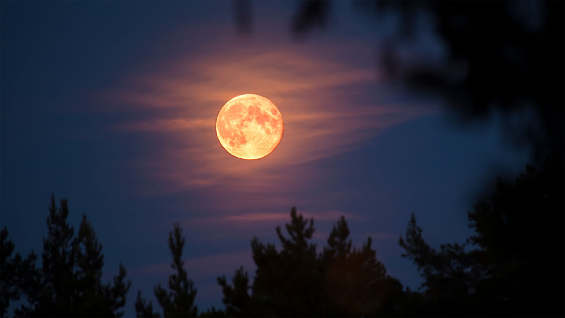 Imagen referencial de la luna en el cielo nocturno.