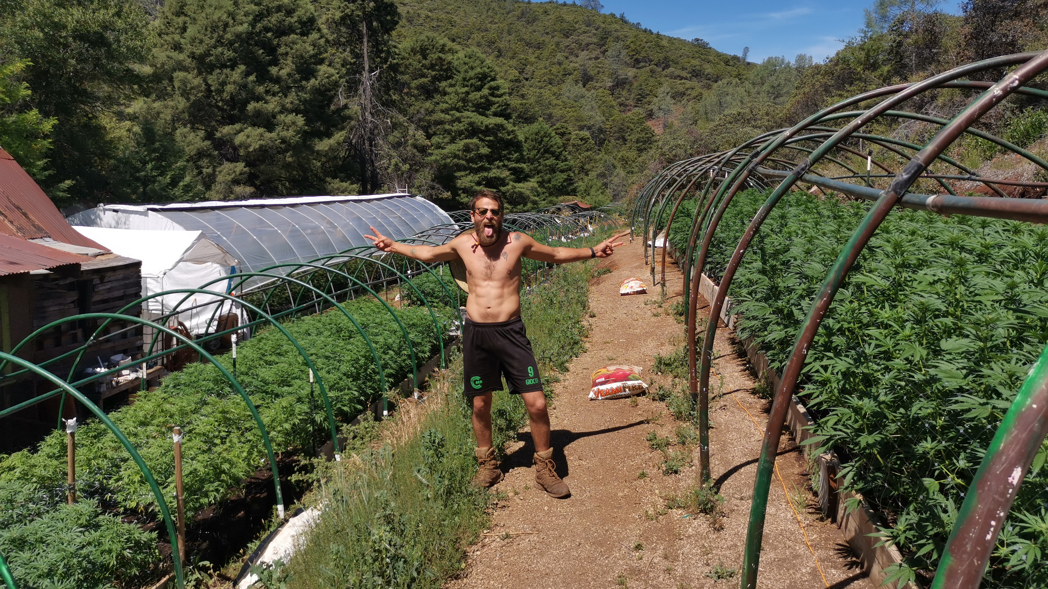Litvak trabajó en California, donde la marihuana es totalmente legal desde 2018 (@litvak.matias)