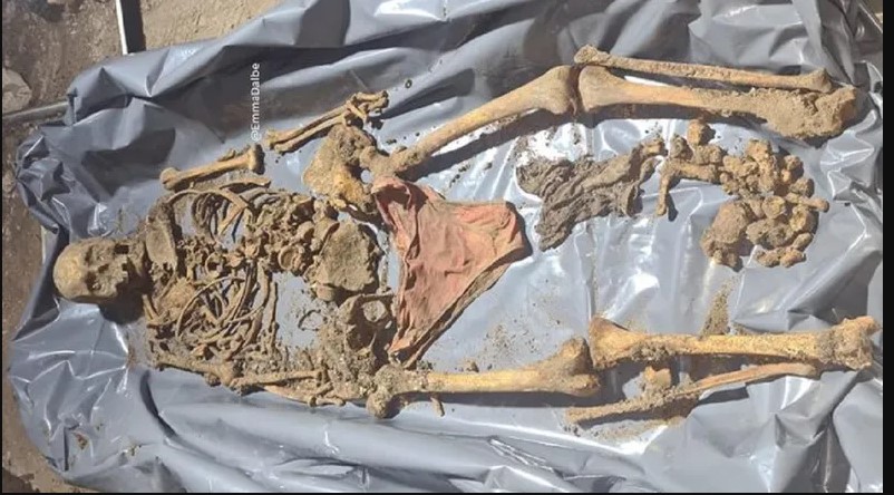 El esqueleto completo encontrado en González Catán.