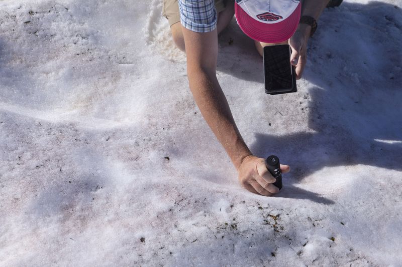 Eric Marechal, investigador del Laboratorio de Fisiología Celular y Vegetal del CEA y coordinador del consorcio ALPALGA, toma una fotografía con un microscopio del alga Sanguina nivaloides, también conocida como "nieve roja" y cuya presencia acelera el deshielo, en el Brevent de Chamonix, Francia, el 14 de junio de 2022. Imagen tomada el 14 de junio de 2022. REUTERS/Denis Balibouse