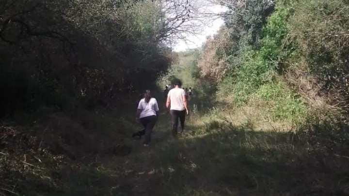 El golazo de Julián Álvarez en el último minuto que le dio la victoria al Atlético Madrid y desató un eufórico festejo del Cholo Simeone