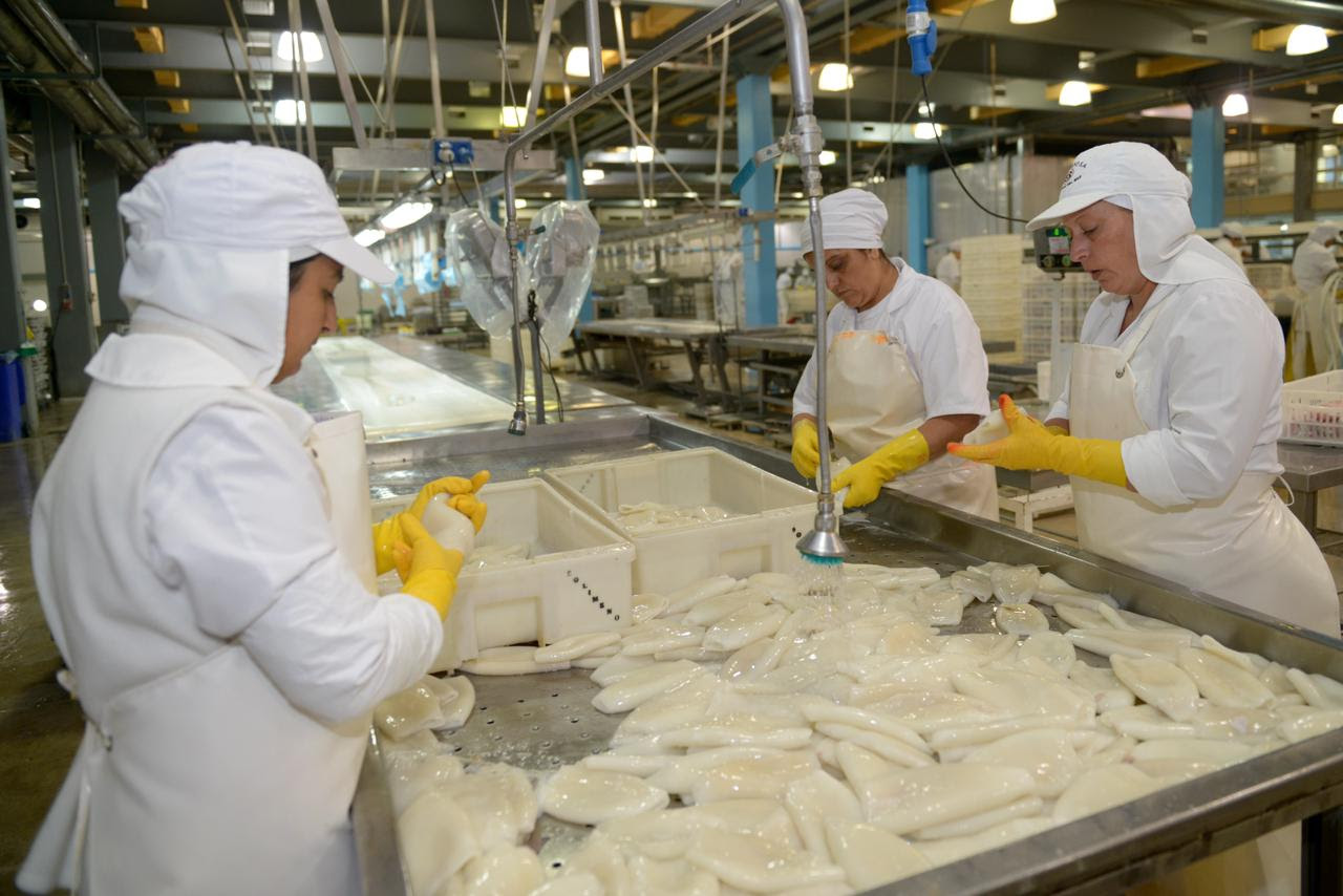 Ca&iacute;da de la actividad y se&ntilde;ales mixtas: crecen sectores exportadores, pero se debilita la demanda interna